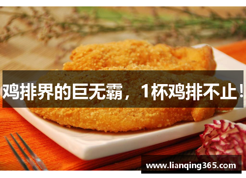 鸡排界的巨无霸，1杯鸡排不止！
