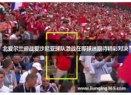 北爱尔兰迎战爱沙尼亚球队激战在即球迷期待精彩对决